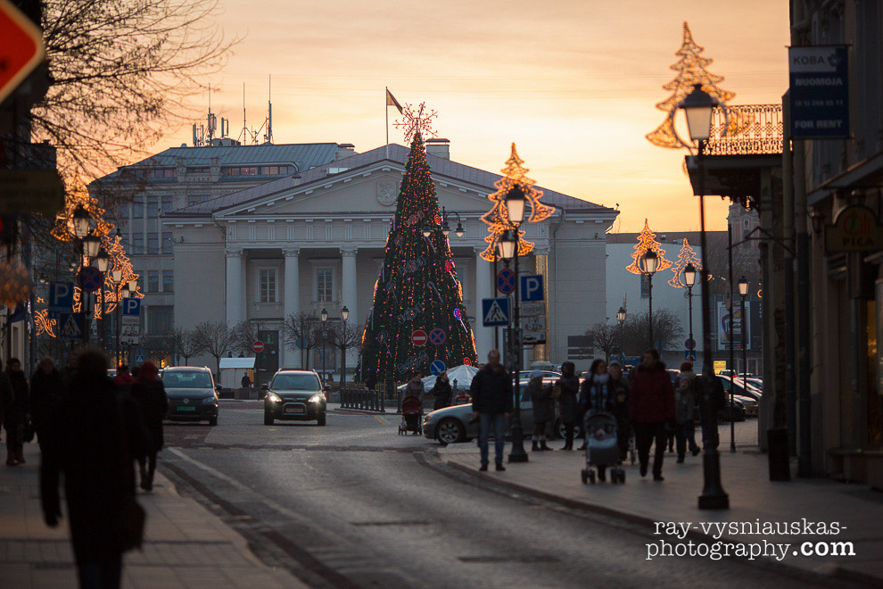 Kucios Day or Christmas Eve in Vilnius